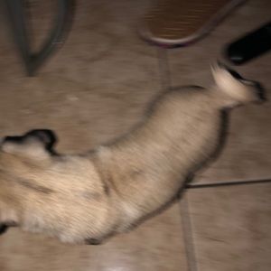 Meet your Posher, Rosio